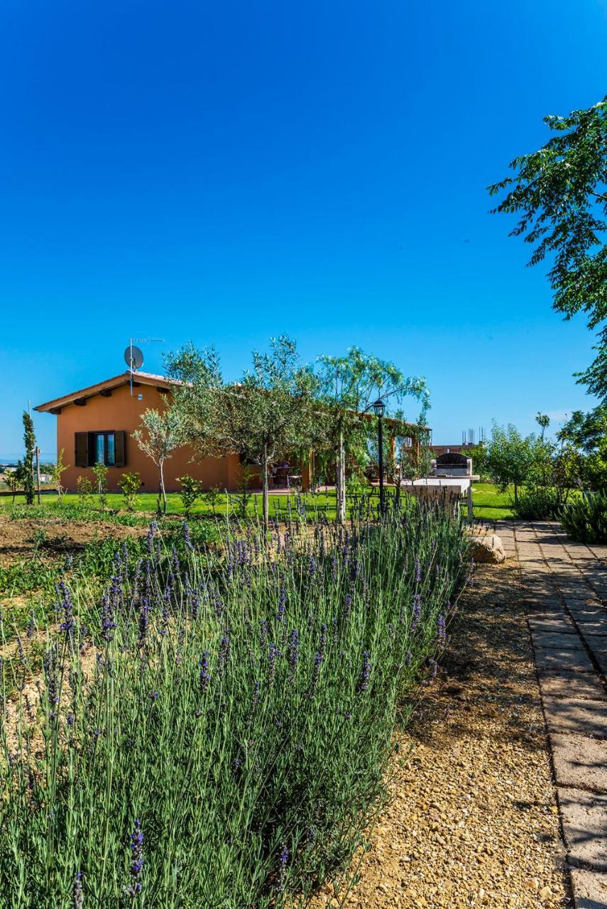 פשיה רומנה Agriturismo Poggio Di Maremma מראה חיצוני תמונה