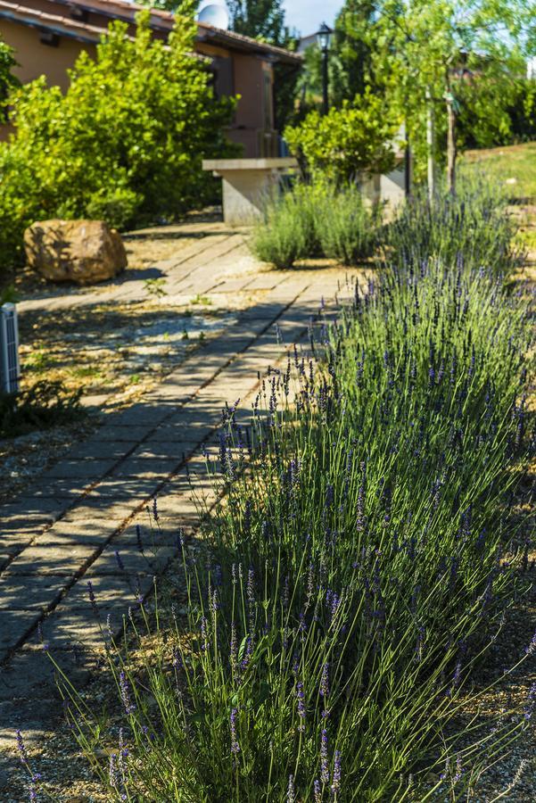 פשיה רומנה Agriturismo Poggio Di Maremma מראה חיצוני תמונה